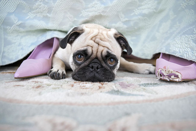 9-Reasons-You-Should-Never-Wear-Shoes-In-The-House3